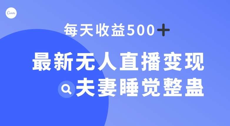 最新无人直播变现,夫妻睡觉整蛊,每天躺赚500+【揭秘】-赛德副业库