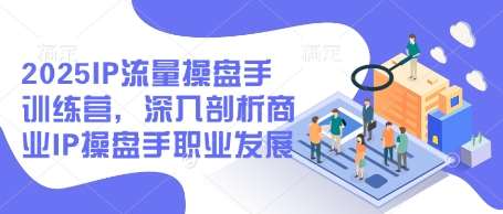 2025IP流量操盘手训练营，深入剖析商业IP操盘手职业发展-赛德副业库