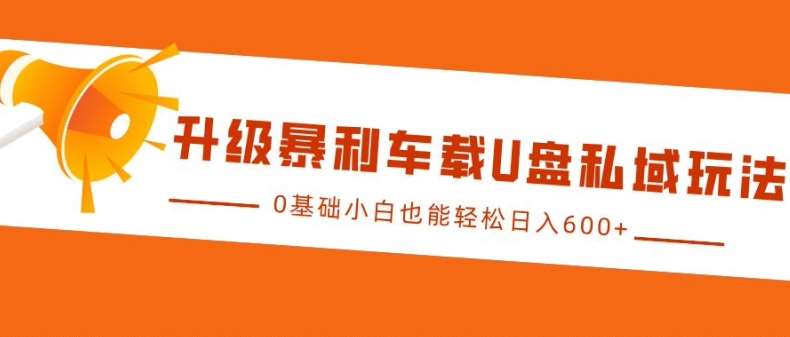 升级暴利车载U盘私域玩法，0基础小白也能轻松日入多张【揭秘】-赛德副业库