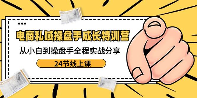 (8723期)电商私域-操盘手成长特训营:从小白到操盘手全程实战分享-24节线上课-赛德副业库