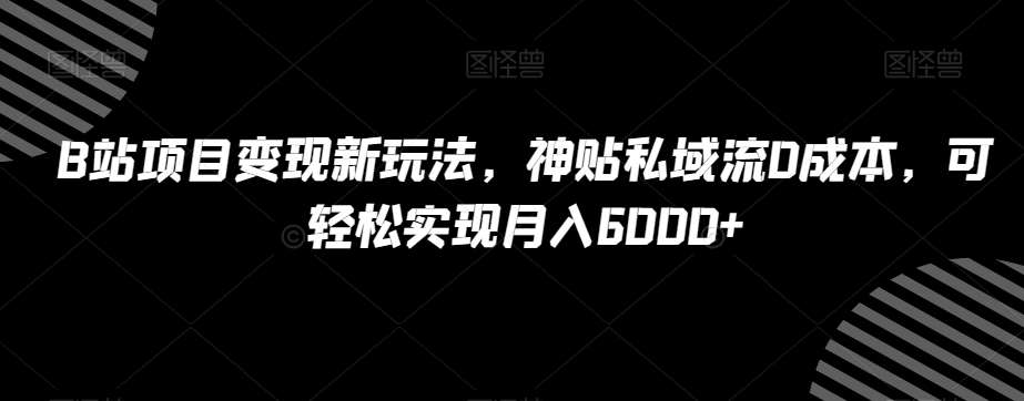 B站项目变现新玩法，神贴私域流0成本，可轻松实现月入6000+【揭秘】-赛德副业库