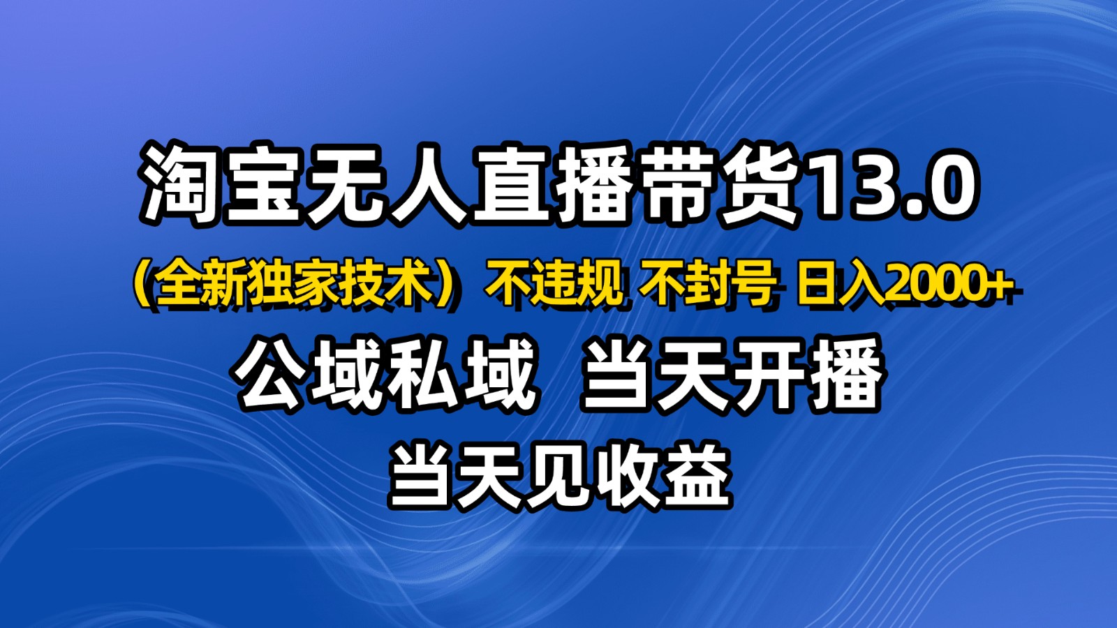 淘宝无人直播13.0，公域私域技术，不封号，不违规 布局下半年旺季赛道，日入2000+-赛德副业库