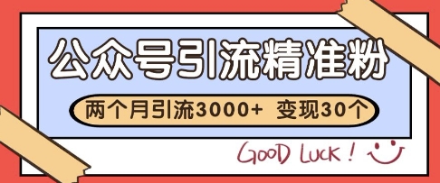 公众号精准粉引流玩法，2个月3000+精准粉，变现30个W【揭秘】-赛德副业库