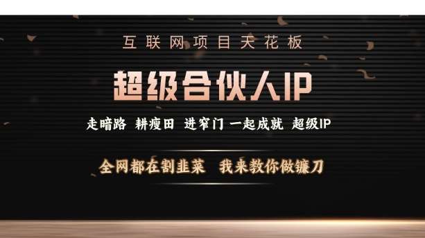 互联网项目天花板，超级合伙人IP，全网都在割韭菜，我来教你做镰刀【仅揭秘】-赛德副业库