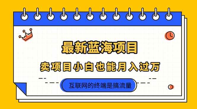 (14289期)2025年最新蓝海项目,卖项目小白也能月入过万-赛德副业库