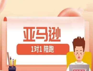 亚马逊1对1陪跑课(FBA/FBM精铺)跨境亚马逊教程-赛德副业库