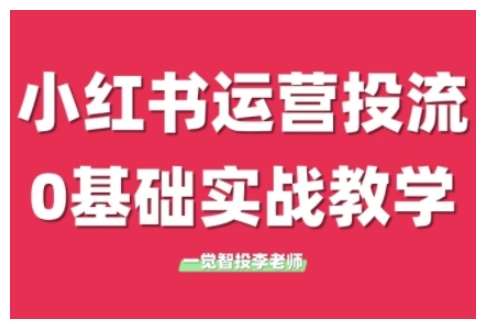小红书运营投流,小红书广告投放从0到1的实战课,学完即可开始投放-赛德副业库