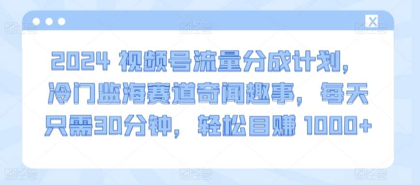 2024视频号流量分成计划，冷门监海赛道奇闻趣事，每天只需30分钟，轻松目赚 1000+【揭秘】-赛德副业库
