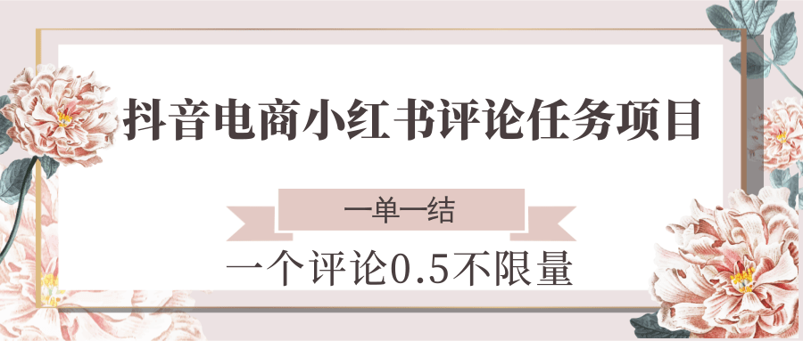 抖音电商小红书评论任务项目，一个评论0.5，一单一结 不限量-赛德副业库