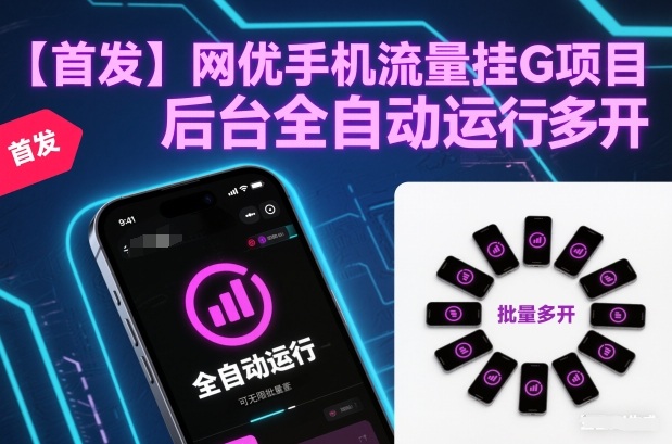 【首发】网优手机流量挂G项目，后台全自动运行，可无限批量多开【揭秘】-赛德副业库