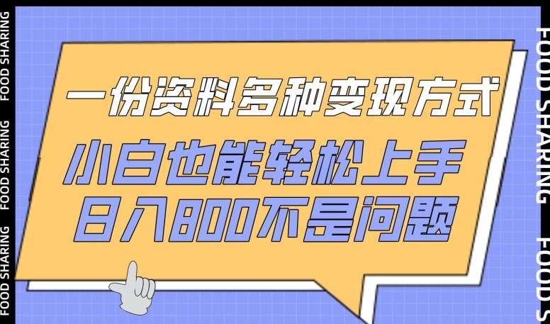 一份资料多种变现方式,小白也能轻松上手,日入800不是问题【揭秘】-赛德副业库