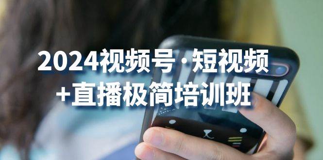 2024视频号短视频+直播极简培训班:抓住视频号风口,流量红利-赛德副业库