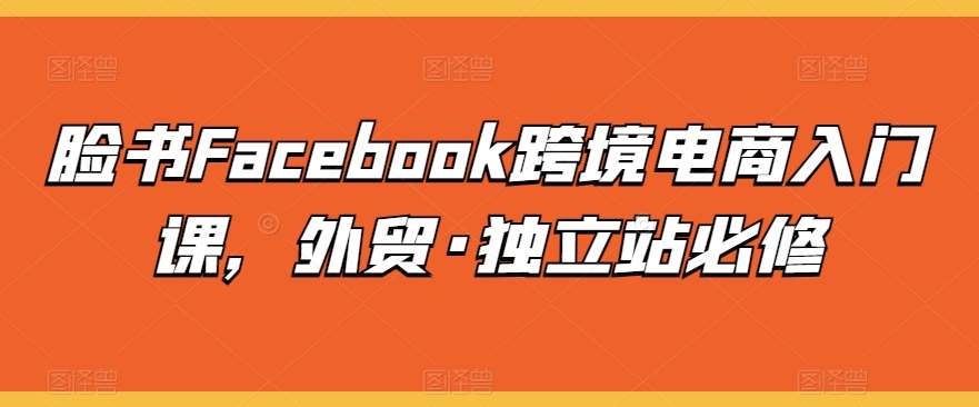 脸书Facebook跨境电商入门课,外贸·独立站必修-赛德副业库