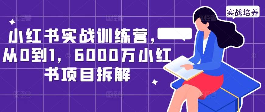 小红书实战训练营，从0到1，6000万小红书项目拆解-赛德副业库