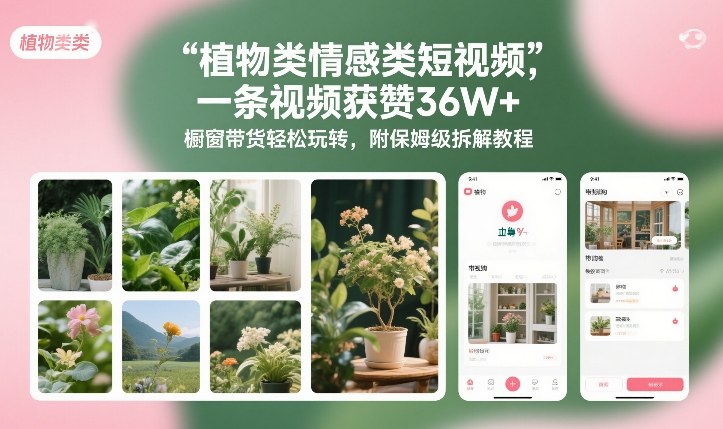 植物类情感类短视频,一条视频获赞36W+,橱窗带货轻松玩转,附保姆级拆解教程-赛德副业库