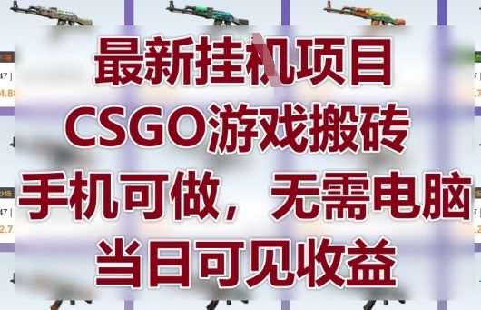 最新挂G项目，CSGO游戏搬砖，手机可做，无需电脑，当日见收益【揭秘】-赛德副业库