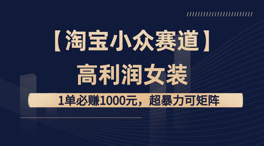（8608期）【淘宝小众赛道】高利润女装：1单必赚1000元，超暴力可矩阵-赛德副业库