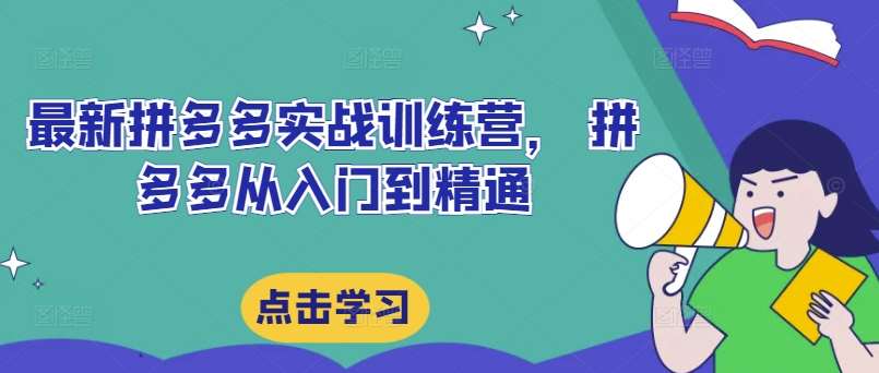 最新拼多多实战训练营, 拼多多从入门到精通-赛德副业库