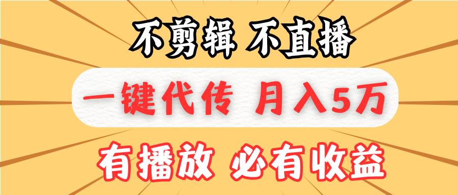 （13555期）不剪辑不直播，一键代发，月入5万懒人必备，我出视频你来发-赛德副业库