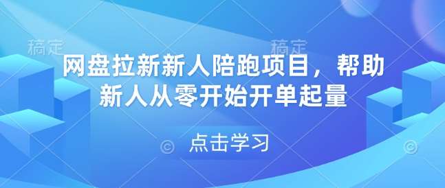 网盘拉新新人陪跑项目,帮助新人从零开始开单起量-赛德副业库