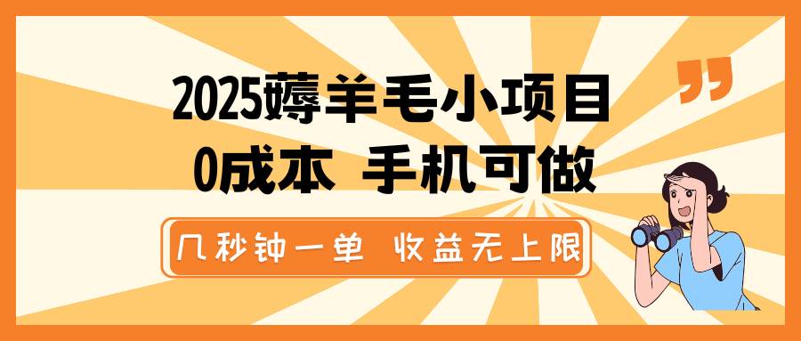 2025薅羊毛小项目，0成本 手机可做，几秒钟一单，收益无上限-赛德副业库