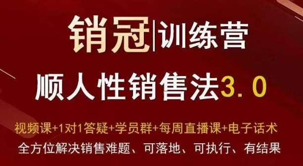 爆款！销冠训练营3.0之顺人性销售法，全方位解决销售难题、可落地、可执行、有结果-赛德副业库