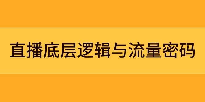 直播底层逻辑与流量密码：定位模型+案例拆解，急速流承接与数据优化全攻略-赛德副业库
