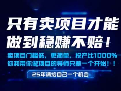 只有卖项目才能做到稳挣不赔，门槛低，更简单，你也可以年入百个W【揭秘】-赛德副业库