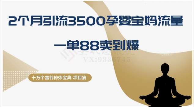 十万个富翁修炼宝典之13.2个月引流3500孕婴宝妈流量，一单88卖到爆-赛德副业库