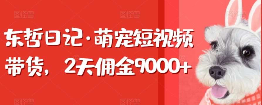 东哲日记·萌宠短视频带货，2天佣金9000+-赛德副业库