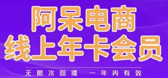 阿呆电商线上年会员，阿呆电商干货分享（更新中）-赛德副业库