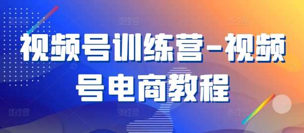 视频号训练营-视频号电商教程-赛德副业库