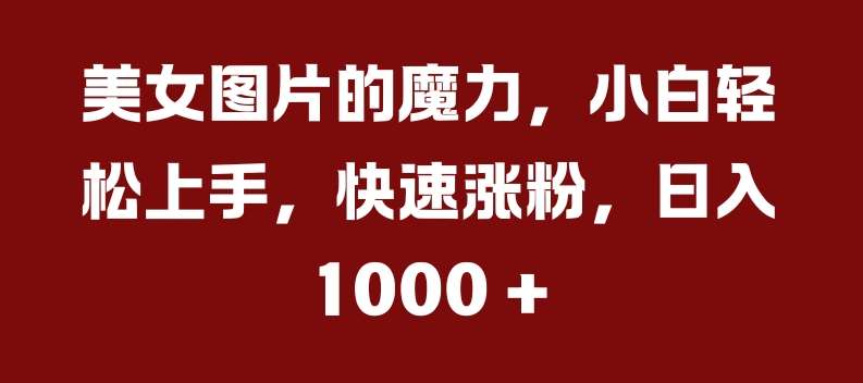 美女图片的魔力,小白轻松上手,快速涨粉,日入几张【揭秘】-赛德副业库