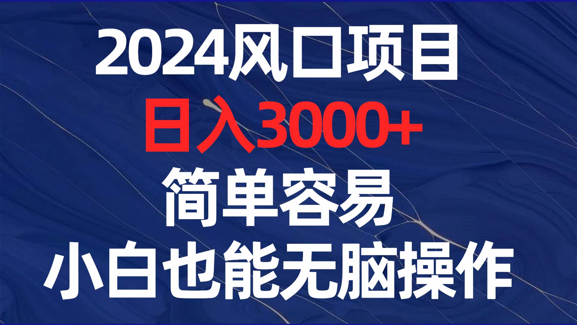 （8432期）2024风口项目，日入3000+，简单容易，小白也能无脑操作-赛德副业库