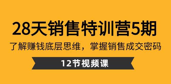 28天销售特训营5期：了解赚钱底层思维，掌握销售成交密码（12节课）-赛德副业库