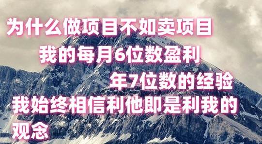 做项目不如卖项目，每月6位数盈利，年7位数经验-赛德副业库