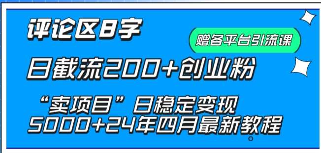 抖音评论区8字日截流200+创业粉 “卖项目”日稳定变现5000+【揭秘】-赛德副业库