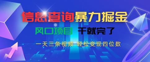 信息查询暴力掘金,一天三条视频,轻松变现四位数,风口项目干就完了【揭秘】-赛德副业库
