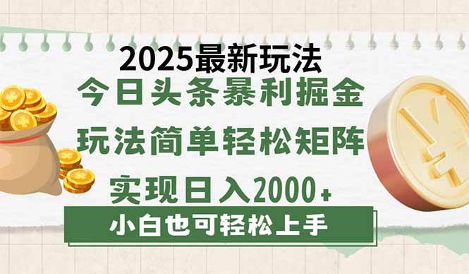 （14120期）今日头条2025最新玩法，思路简单，复制粘贴，轻松实现矩阵日入2000+-赛德副业库