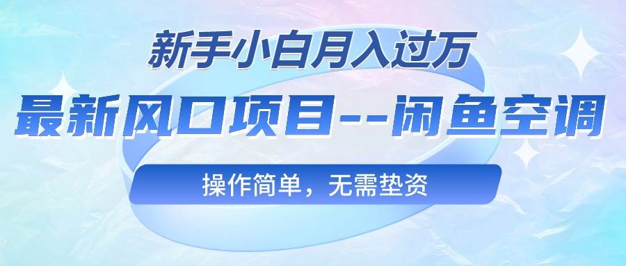 （10767期）最新风口项目—闲鱼空调，新手小白月入过万，操作简单，无需垫资-赛德副业库