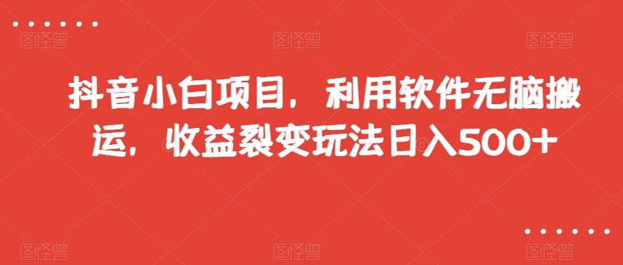 抖音小白项目，利用软件无脑搬运，收益裂变玩法日入500+【揭秘】-赛德副业库