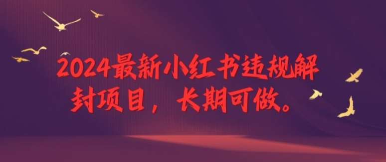 2024最新小红书违规解封项目，长期可做，一个可以做到退休的项目【揭秘】-赛德副业库