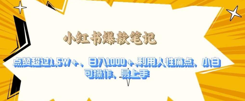 利用人性的痛点，打造爆款笔记，获得点赞超过1.5W+，日入1k【揭秘】-赛德副业库