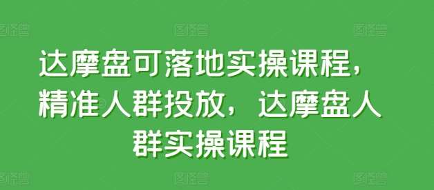 达摩盘可落地实操课程,精准人群投放,达摩盘人群实操课程-赛德副业库
