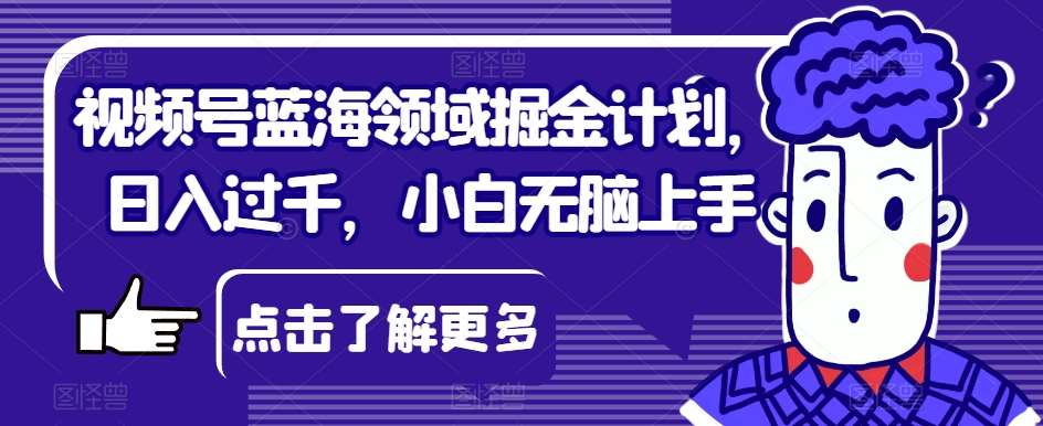 视频号蓝海领域掘金计划，日入过千，小白无脑上手【揭秘】-赛德副业库