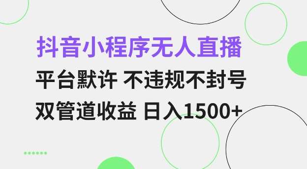 抖音小程序无人直播 平台默许 不违规不封号 双管道收益 日入多张 小白也能轻松操作【仅揭秘】-赛德副业库