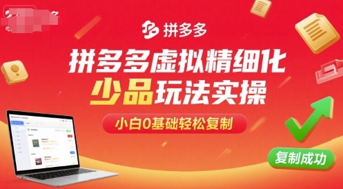 拼多多虚拟精细化少品玩法实操，小白0基础轻松复制-赛德副业库