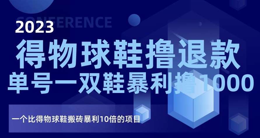 2023得物球鞋撸退款,单号一双鞋暴利撸1000,一个比得物球鞋搬砖暴利10倍的项目【揭秘】-赛德副业库
