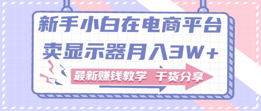 （11053期）新手小白如何做到在电商平台卖显示器月入3W+，最新赚钱教学干货分享-赛德副业库
