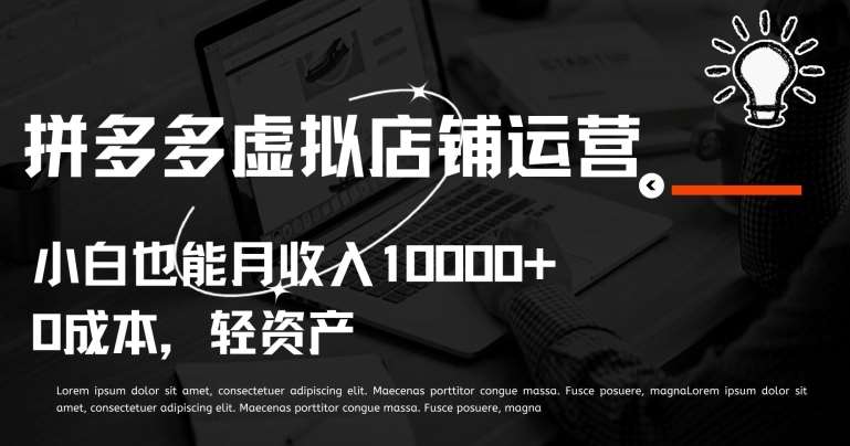 拼多多虚拟店铺运营小白也能月收入10000+【揭秘】-赛德副业库